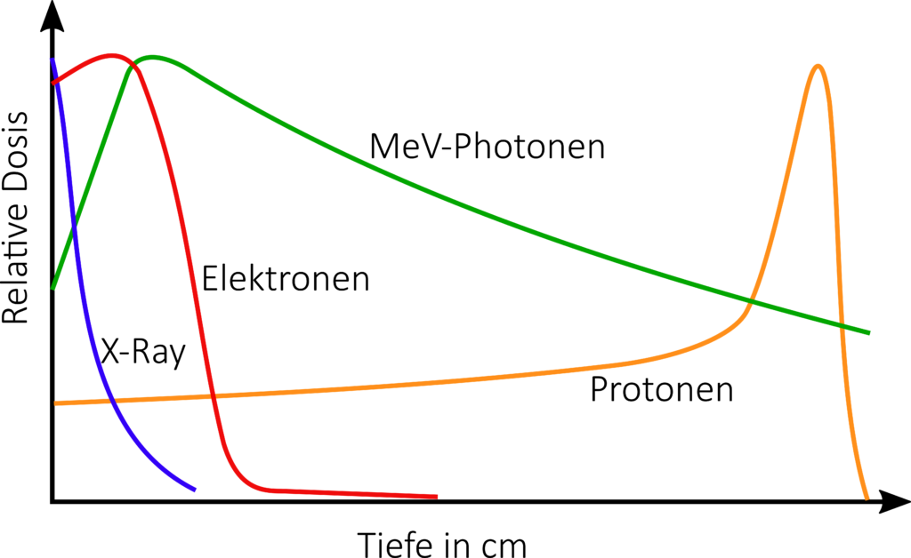 Darstellung von Tiefendosiskurven typischer Strahlenqualitäten (Röntgenstrahlung, MeV-Elektronen, -Photonen und -Protonen).